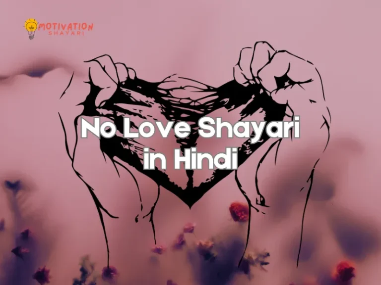 No Love Shayari